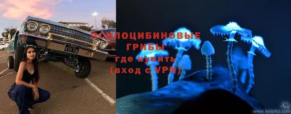 экстази Дмитров