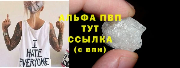 ПСИЛОЦИБИНОВЫЕ ГРИБЫ Дмитриев