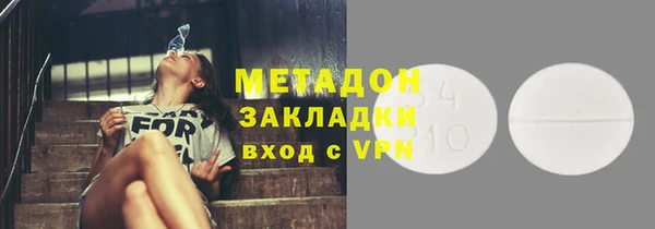 ПСИЛОЦИБИНОВЫЕ ГРИБЫ Дмитриев