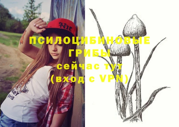 ПСИЛОЦИБИНОВЫЕ ГРИБЫ Дмитриев
