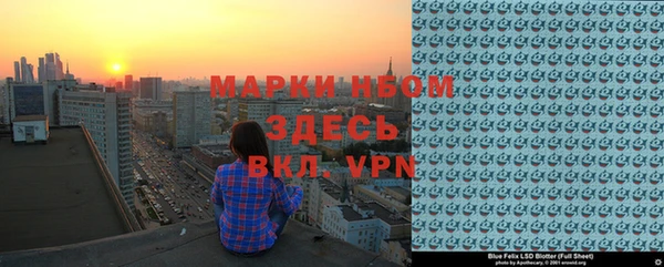ПСИЛОЦИБИНОВЫЕ ГРИБЫ Дмитриев