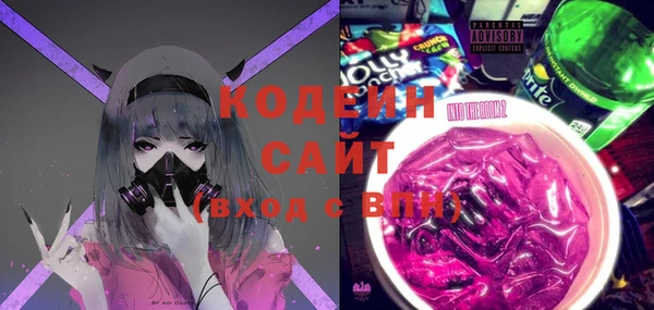 ПСИЛОЦИБИНОВЫЕ ГРИБЫ Дмитриев