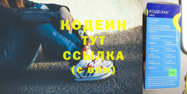 ПСИЛОЦИБИНОВЫЕ ГРИБЫ Дмитриев