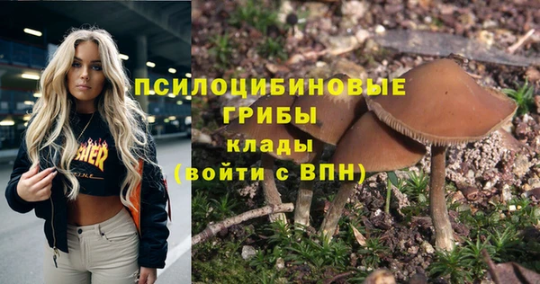экстази Дмитров