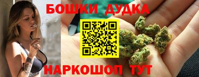 apvp Новоалександровск