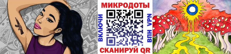 Псилоцибиновые грибы Psilocybe  что такое   Тюмень 